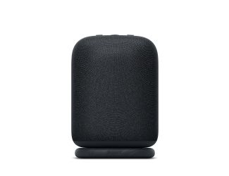 LinkBuds Portable Wireless Speaker Black