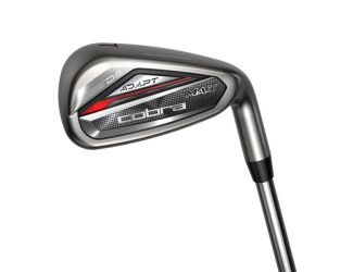 DS-ADAPT MAX Steel Irons