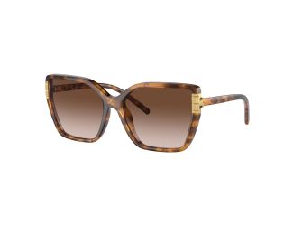 Women's Eleanor Oversized Cat-Eye Sunglasses