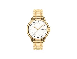 Ladies Arden Gold-Tone Stainless Steel Watch White Dial