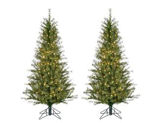 5-ft. Farmhouse Fir Christmas Tree with Warm White LED Lights, Set of 2
