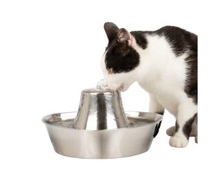 Seaside Stainless Pet Fountain