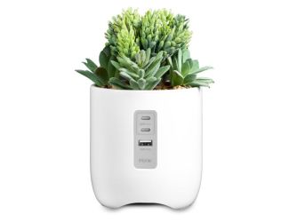 PowerPlant Plant Charging Station w/ Multiple Charging Ports