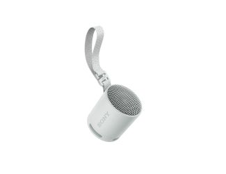 XB100 Compact Bluetooth Wireless Speaker Gray