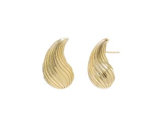 Ridged Shell Stud Earring