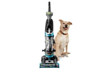 CleanView Swivel Rewind Pet Vacuum Cleaner