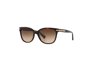 Women's HC8132 Sunglasses