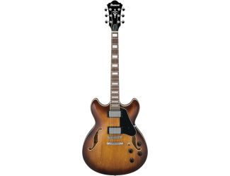 AS73 Hollow-Body Electric Guitar