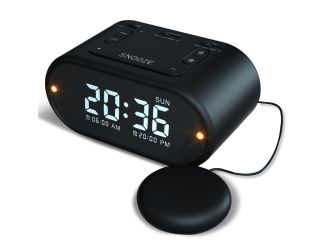Dual wake up alarm