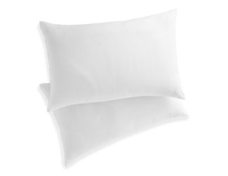 Clean Essentials Pillow Set w/ SILVERbac Antimicrobial - Standard/Queen White