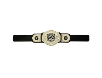 WWE World Heavyweight Role-Play & Costume Title Belt Ages 6+ Years