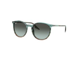 RB2204 Sunglasses