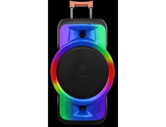Lava 12" Speaker