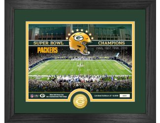 Green Bay Packers Stadium Bronze Coin Photo Mint