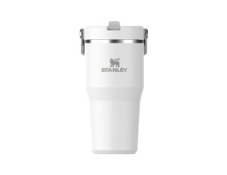 The IceFlow Flip Straw Tumbler 20oz - Frost