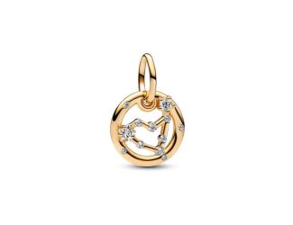 Capricorn Zodiac Dangle Charm
