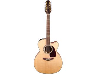 12-String Acoustic-Electric Guitar