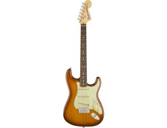 American Performer Stratocaster Electric Guitar