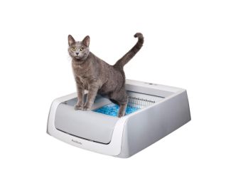 ScoopFree Self-Cleaning Litter Box