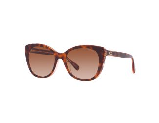 Women's Beveled Signature Cat Eye Sunglasses