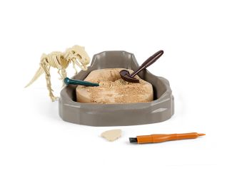 Tyrannosaurus Rex Dinosaur Fossil Dig kit