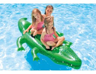 Giant gator ride-on, age: 3+