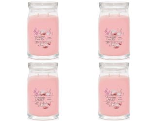 Signature Large Jar Candle - Pink Sands (set of 4)
