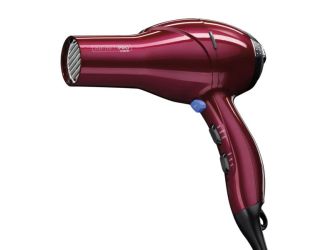 Quick Styling Salon Hair Dryer Bordeaux