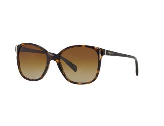 Conceptual Sunglasses - Havana/Brown