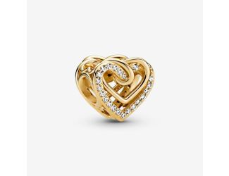 Sparkling Entwined Hearts Charm