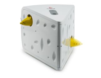 Cheese Cat Toy