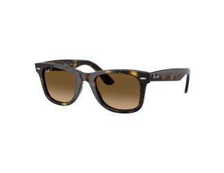 Polarized Wayfarer Ease Sunglasses