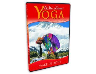 Wake Up Body DVD