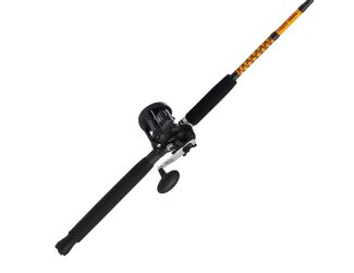Bigwater Conventional Combo 30 Reel 9ft Light Rod