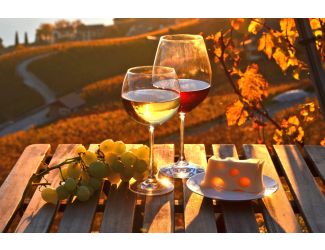 Wine Galaxy's Full-Bodied FAll Favorites - 2 bottles, All Red