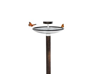 FUERA - Bird Feeder/Bird Bath