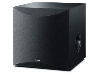 10" 100W Subwoofer