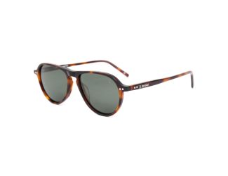 Collins  Tortoise Acetate Sunglasses