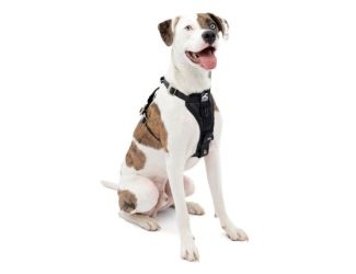 Tru-Fit Enhanced Strength Smart Harness - Medium Black