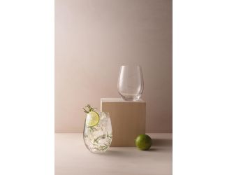 Line Stemless Wine/Tumbler set 2