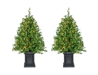 4-Ft. Boxwood Porch Tree in Black Pot with Warm White Lights, Set of 2