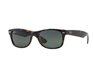 New Wayfarer Classic Sunglasses