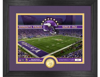 Minnesota Vikings Stadium Bronze Coin Photo Mint