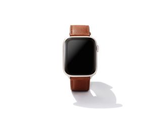 Men's Evans Leather Watch Band