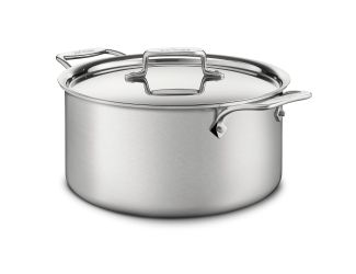 D5 Brushed Stainless Steel 8 Qt. Stockpot with Lid