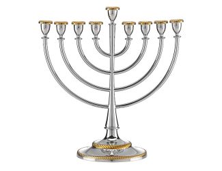 Roseland Menorah