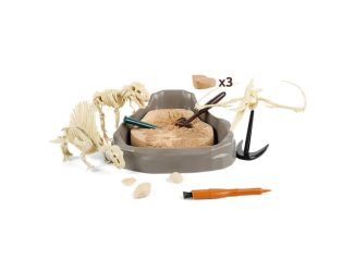Mesozoic Super Dinosaur Fossil Dig Kit Ages 6+ Years