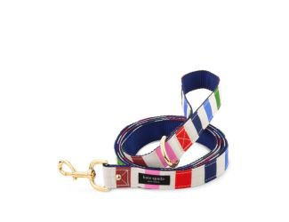 Large Dog Leash, Adventure Stripe