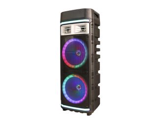 Portable 2 x 12" Bluetooth DJ Speaker