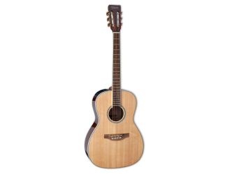 New Yorker Acoustic- Electric Guitar